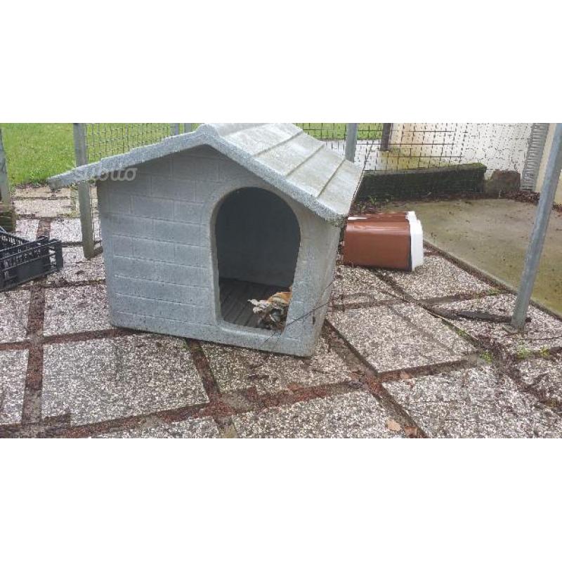 Cuccia per cane