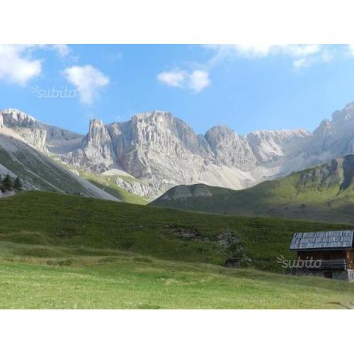 Appartamento piano terra con giardino si animali
