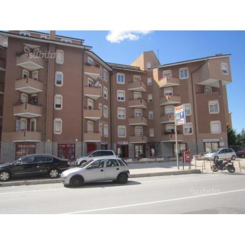 Appartamento - Campobasso