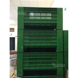 Micro bins per frutta