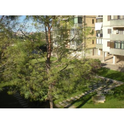 Liberog.petroni/luigi ranieri duplex 4 vani