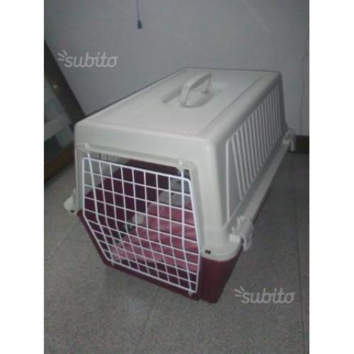 Trasportino per cane