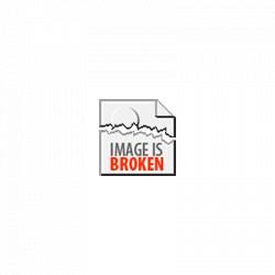 Flipper Zaccaria robot