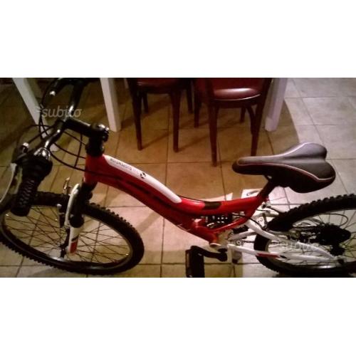 Bicicletta