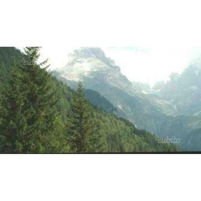 Appartamento a Pinzolo, via Cavento, 4 locali