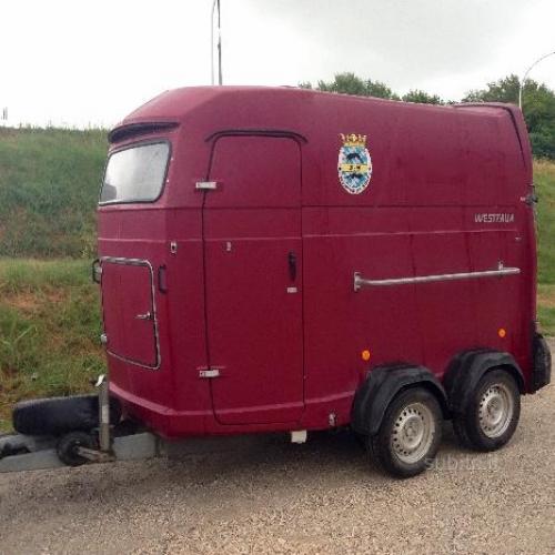 Trailer Westfalia jupiter 2 cavalli