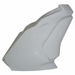 Carena Strada DUCATI 999/749 05/06