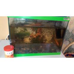 Acquario completo cn pesci