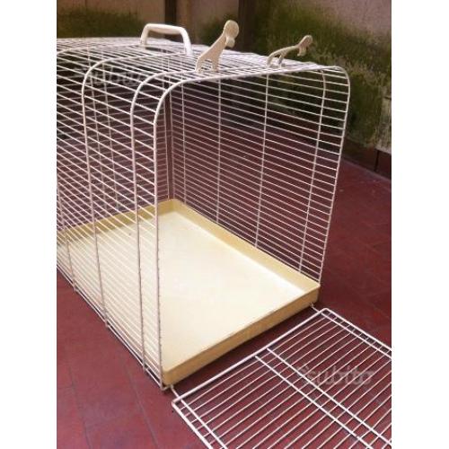 Trasportino per gatto