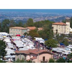 Posteggi Mercati Pesaro-Urbino