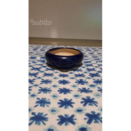 Vaso bonsai
