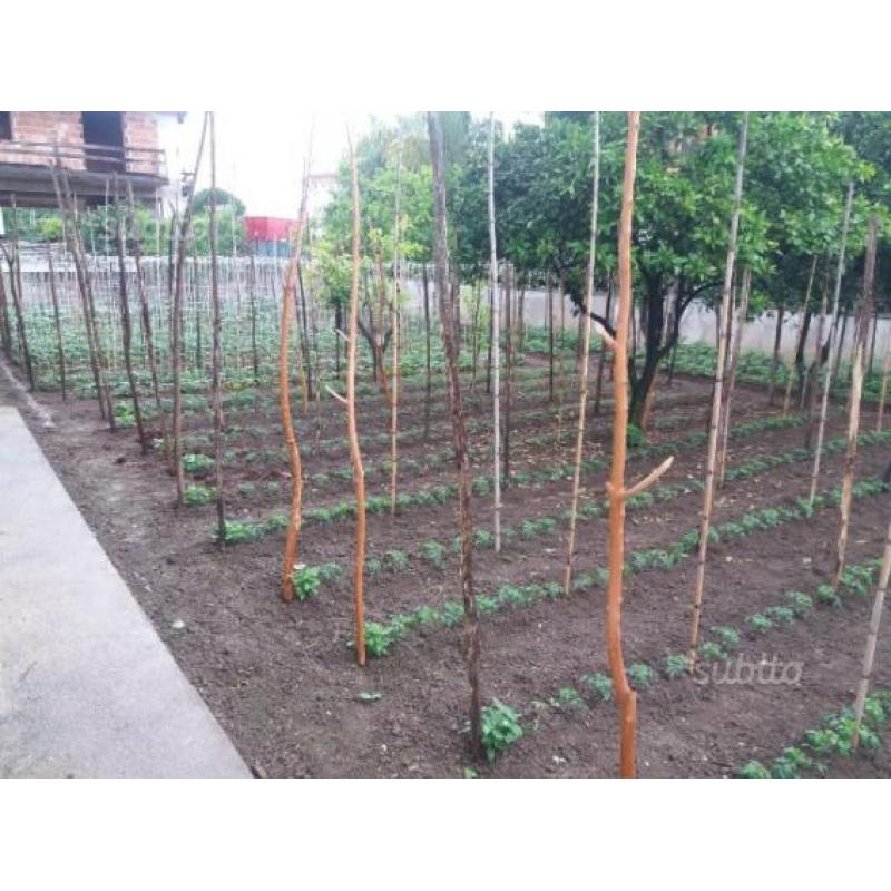 Intero Fabbricato