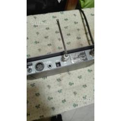 Centralina snnhauser w100