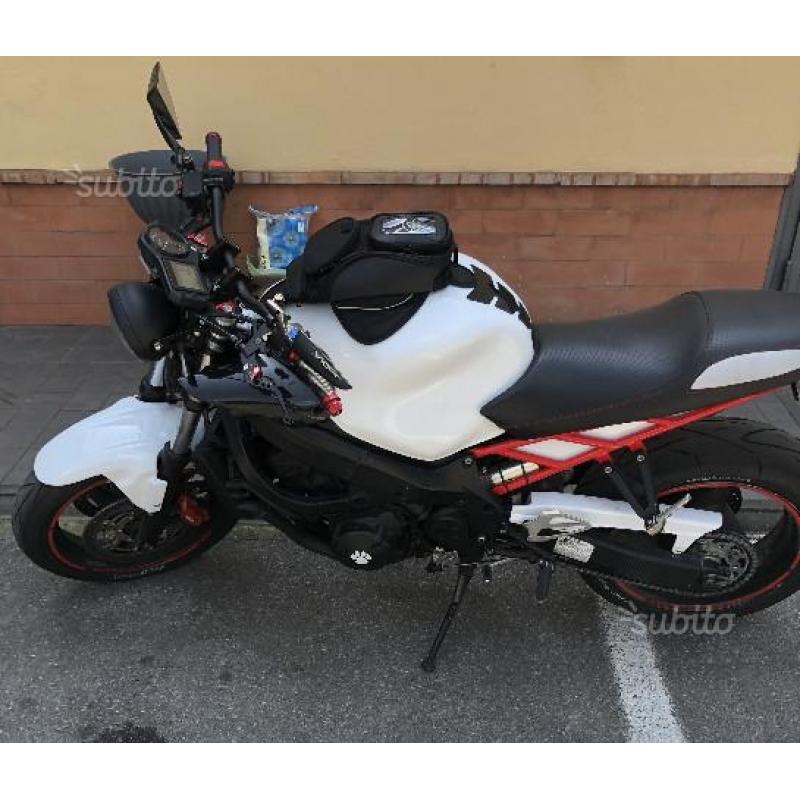 Honda CBR 600 CAFE RACER ANNO 2004
