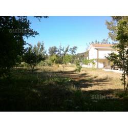 Tortoli 1500 mt dal centro Mini villetta Arredata